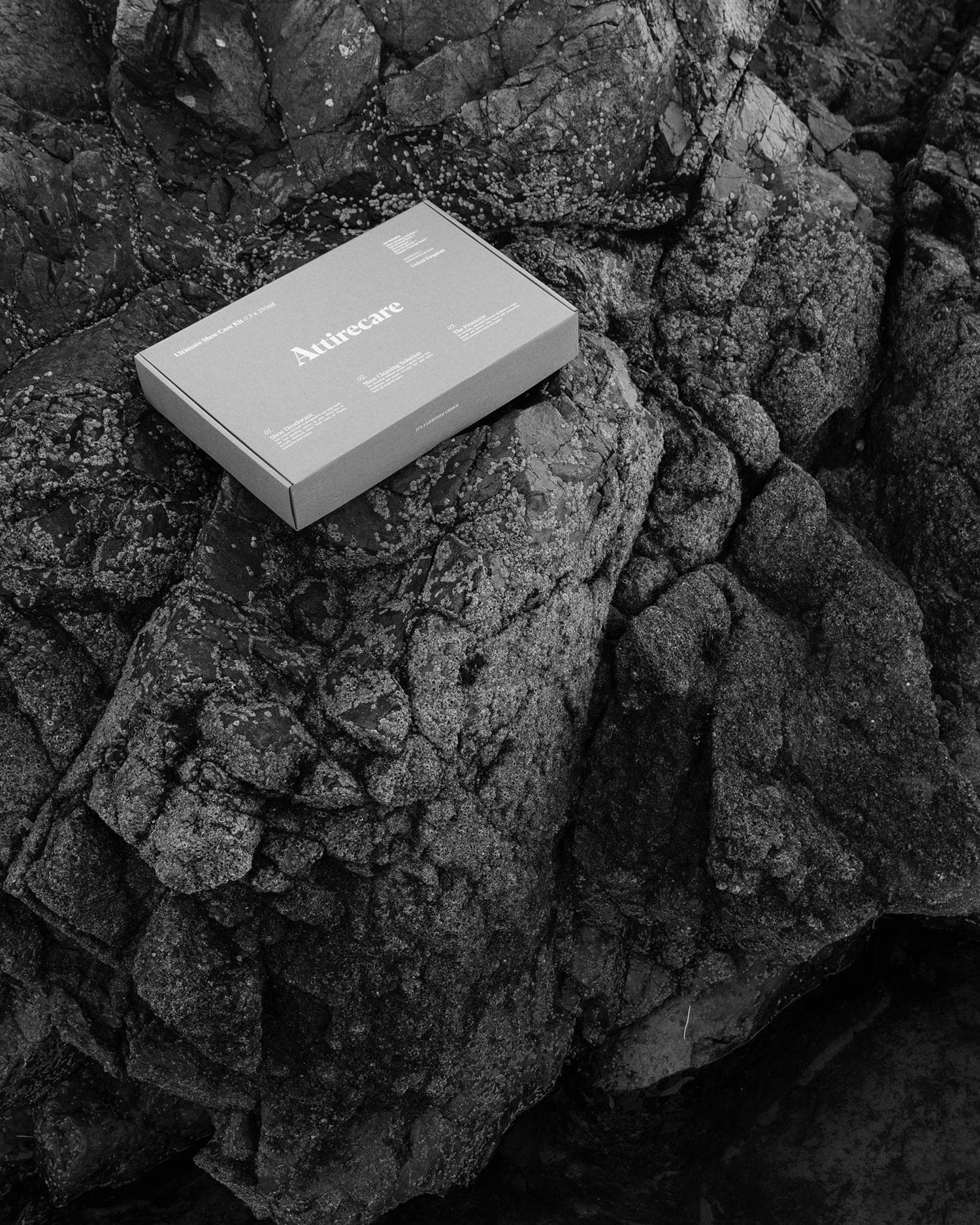 The Ultimate Shoe Care Kit