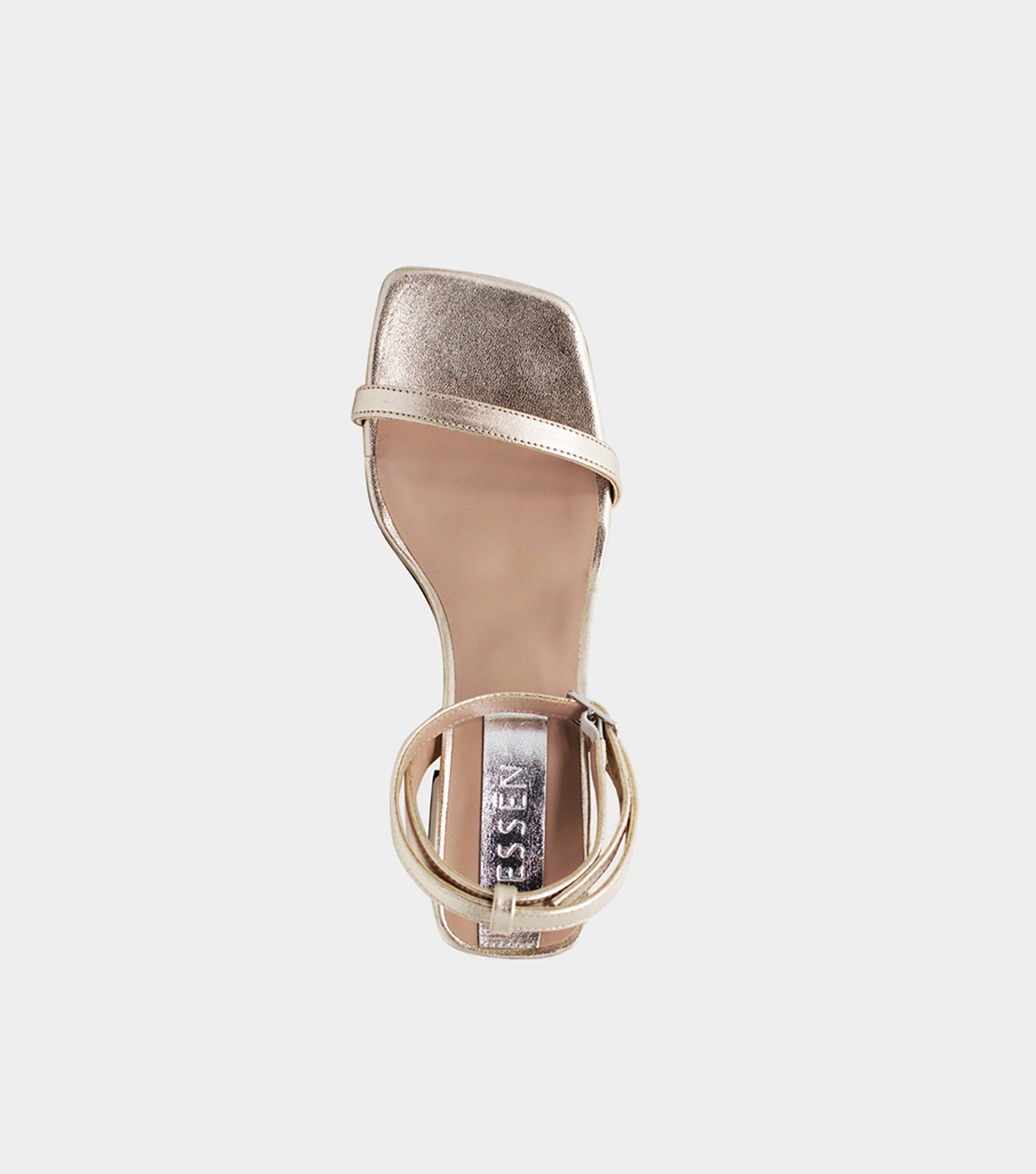 The Elevated Essential - Champagne
