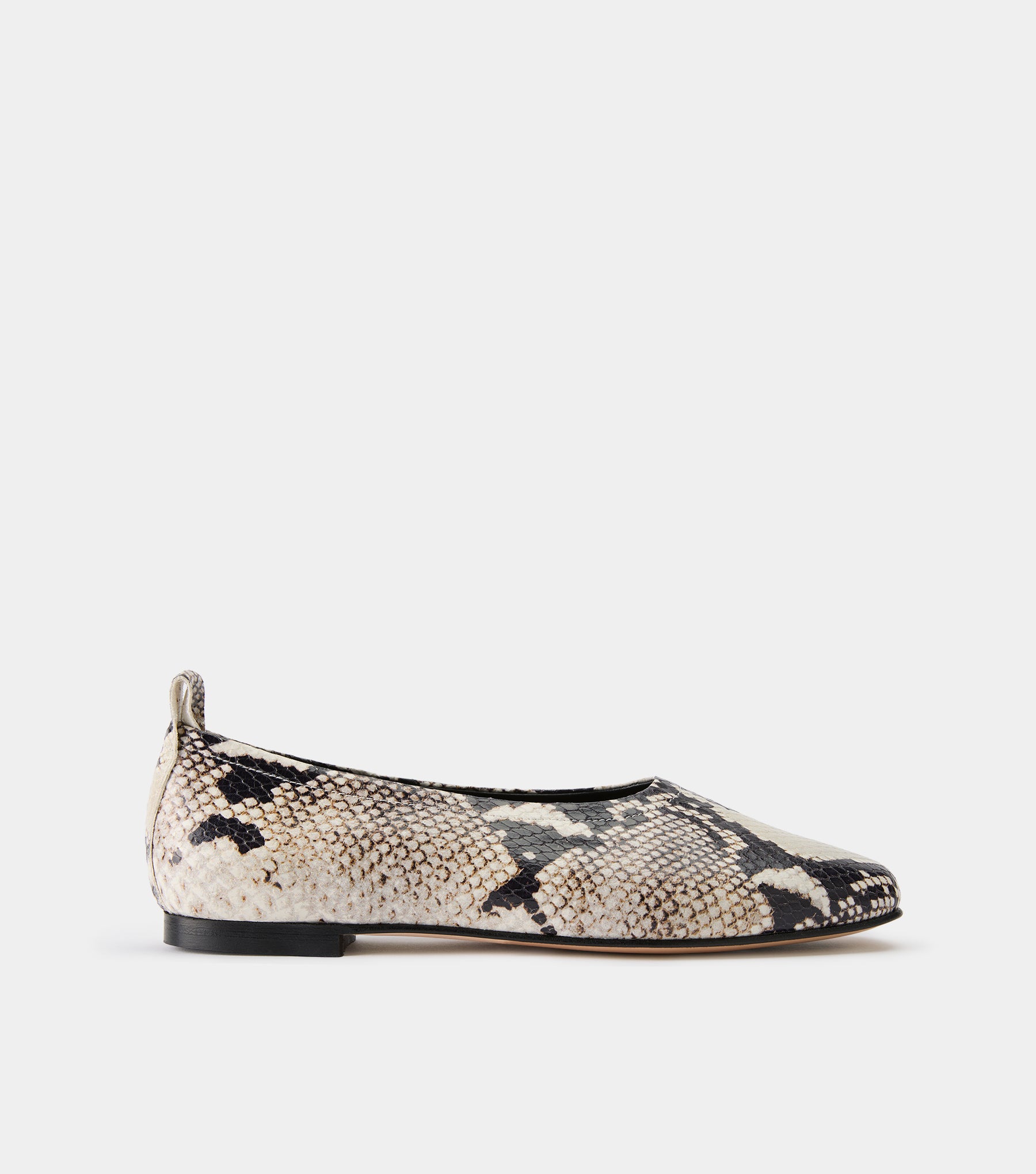 The Foundation Flat - Snake