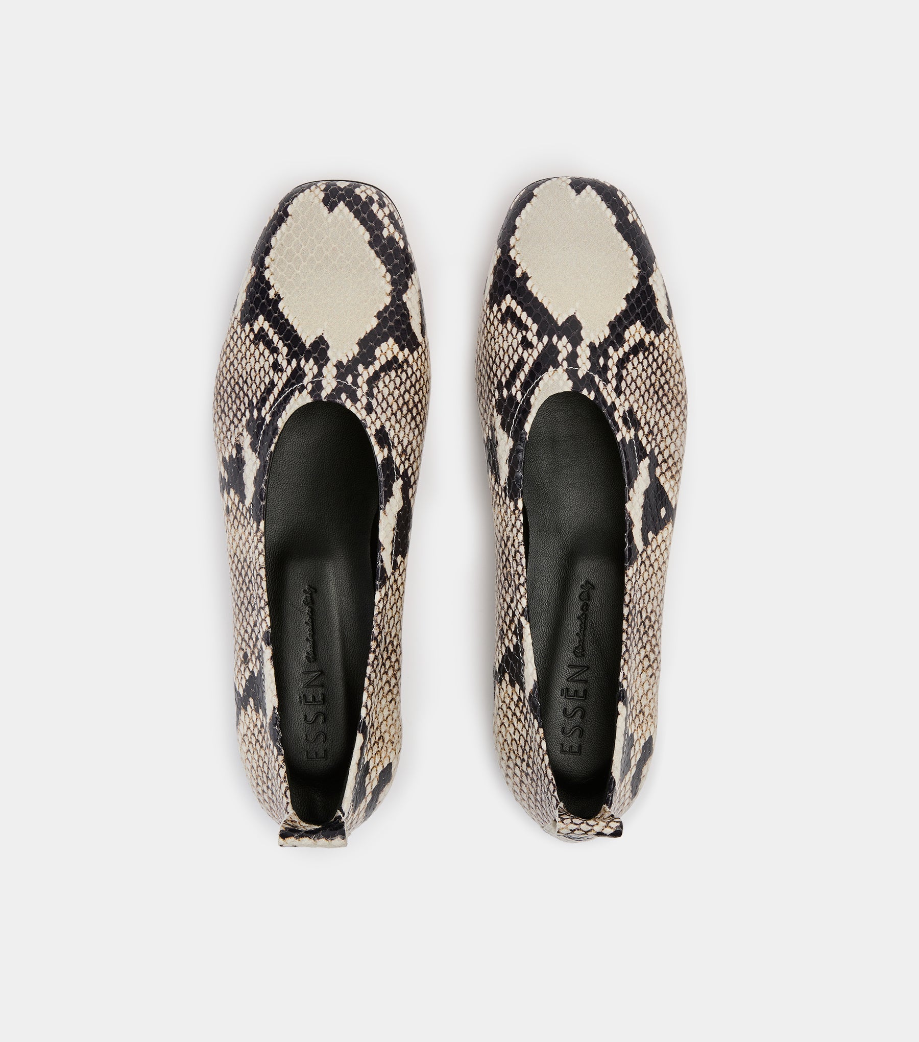 The Foundation Flat - Snake