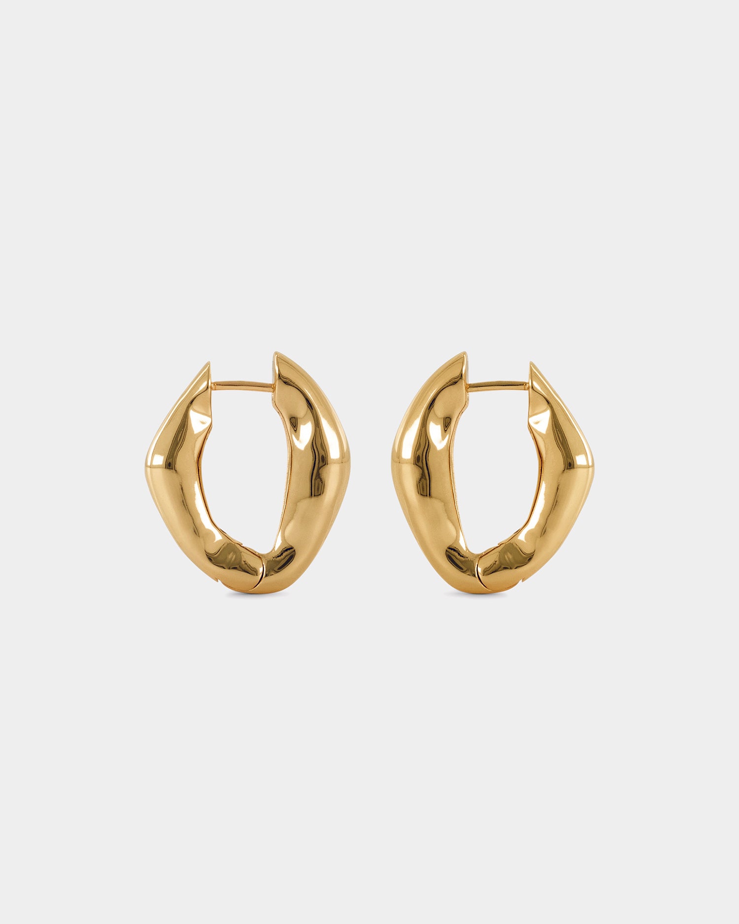 The Hoop Earrings - Gold