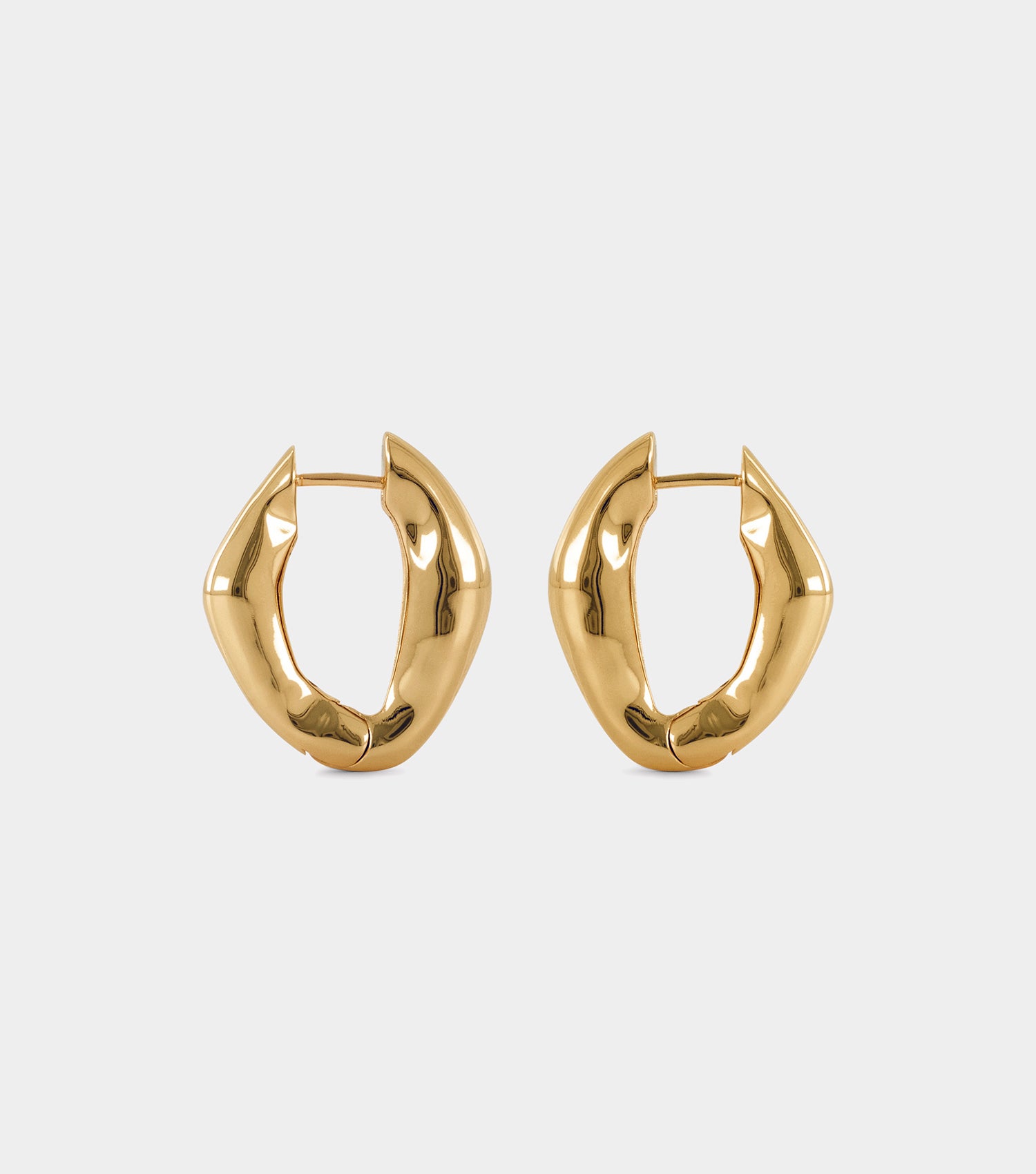 The Hoop Earrings - Gold