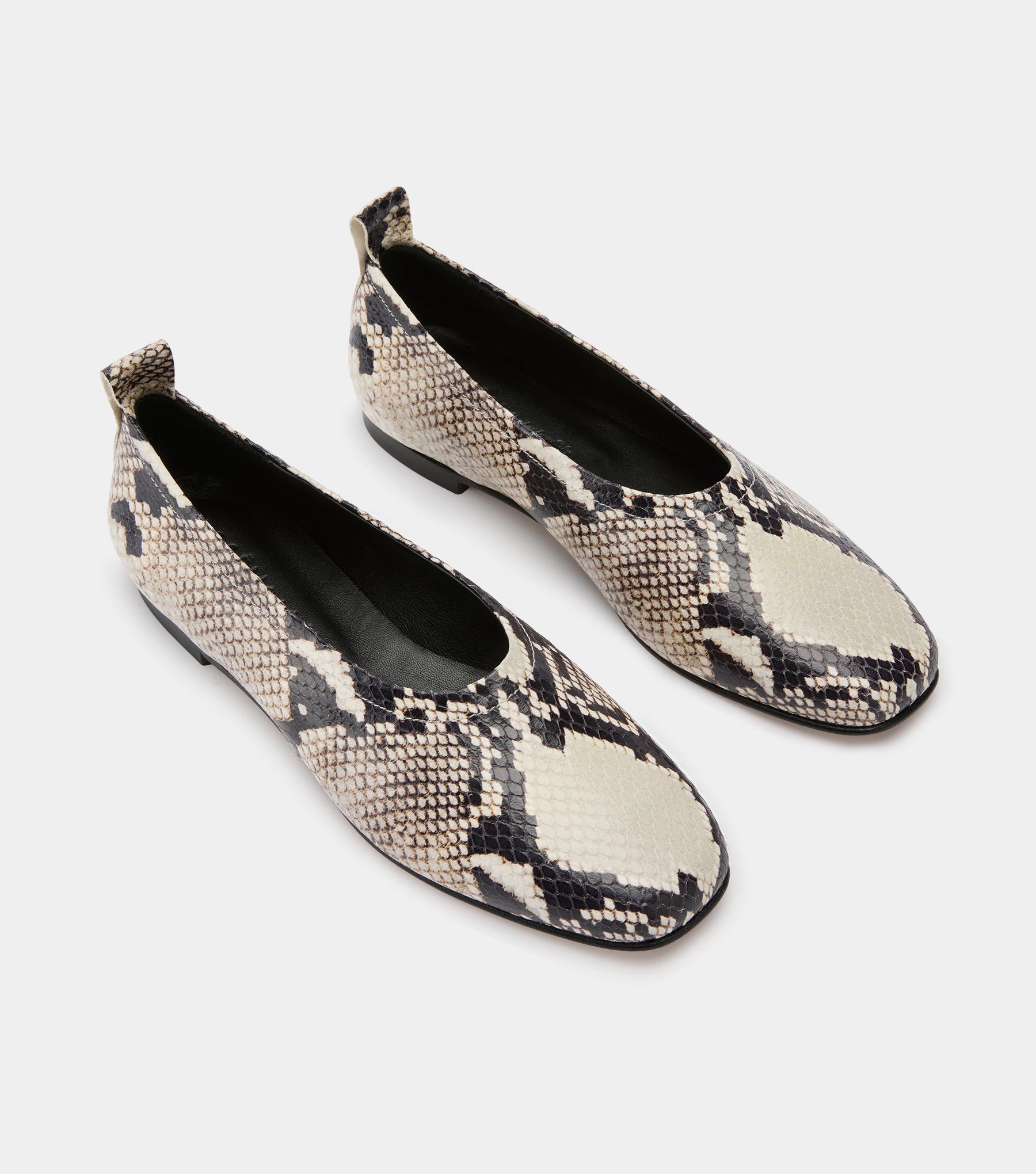 The Foundation Flat - Snake