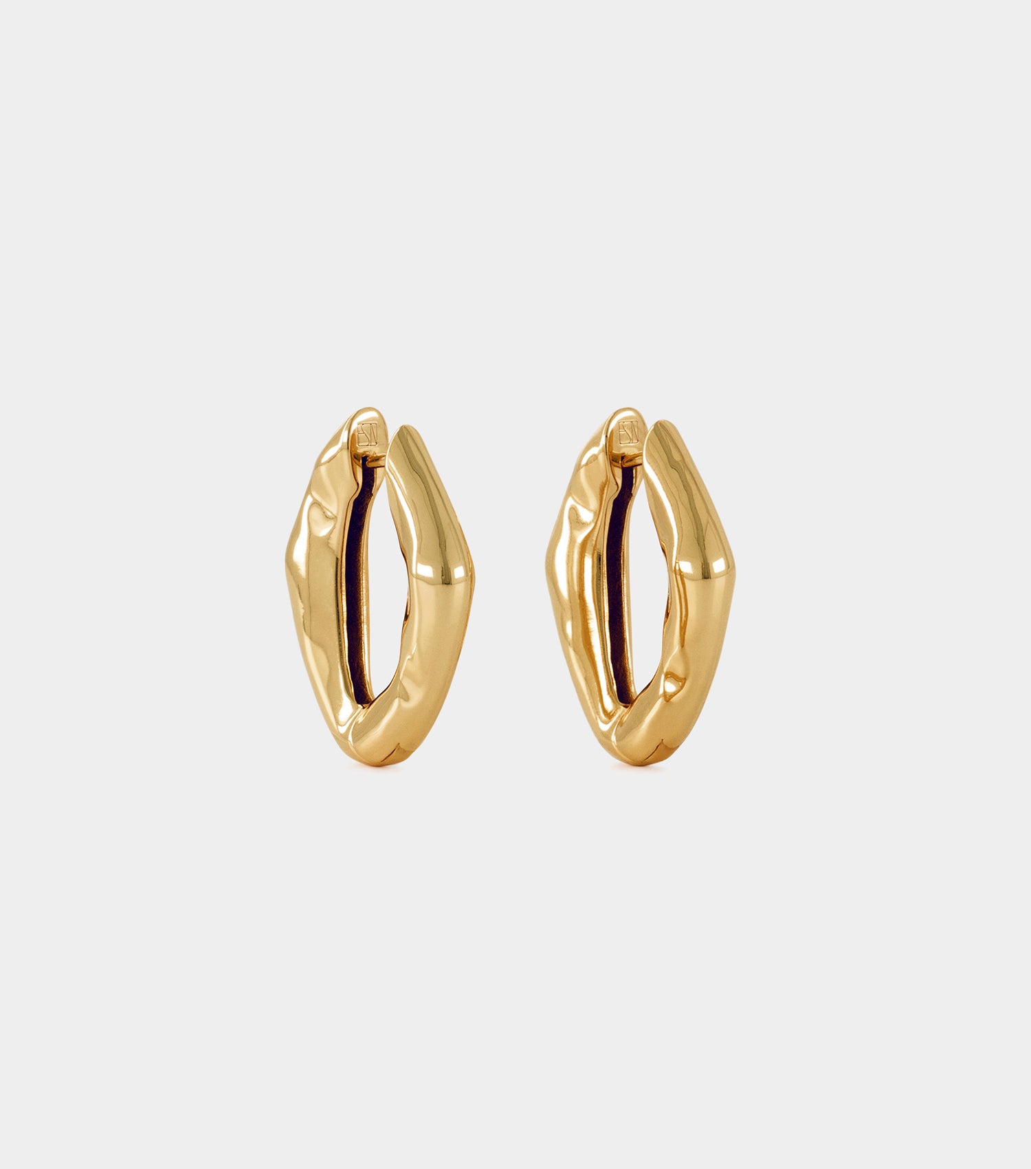 The Hoop Earrings - Gold